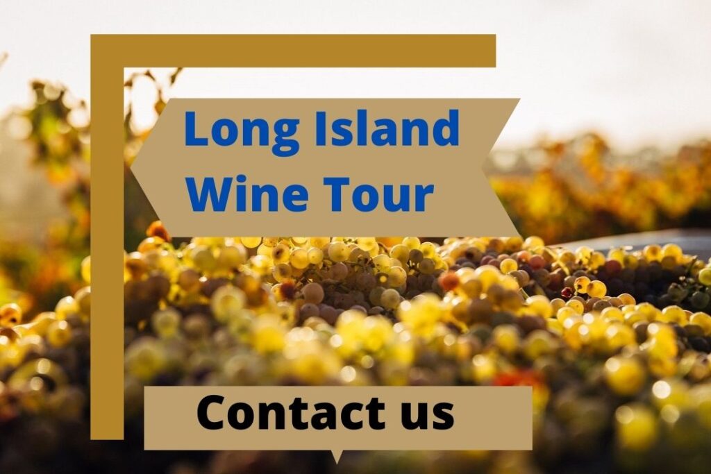 Long Island Family Wine Tours