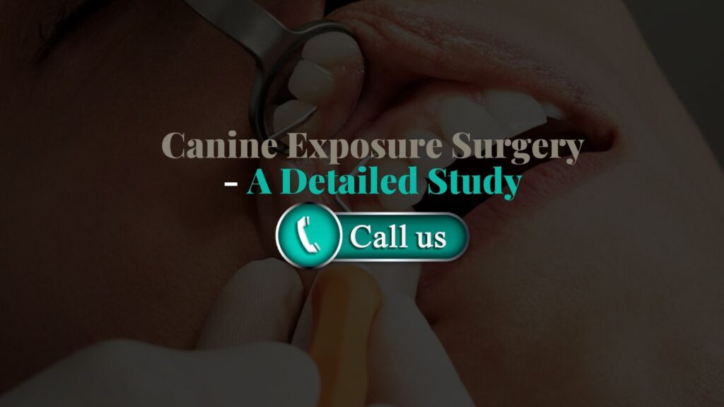 Canine Exposure Surgery