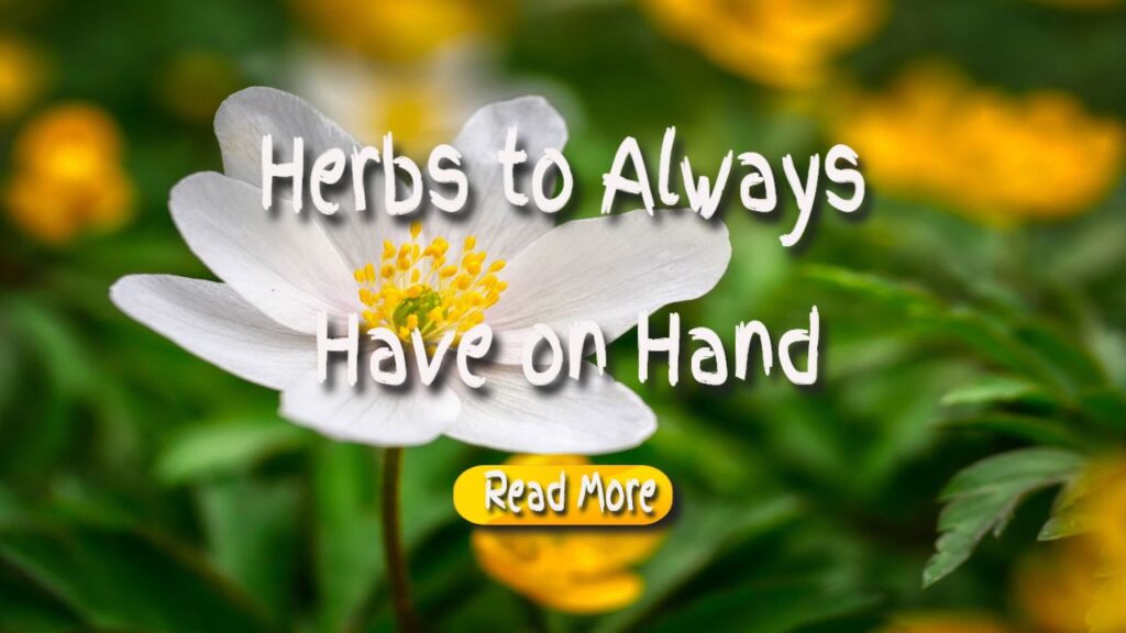 herbs to always have on hand