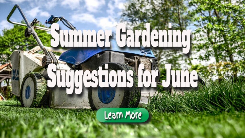 summer gardening suggestions for june
