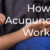 A Crash Course in Understanding How Acupuncture Works