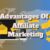 Are There Advantages Of Affiliate Marketing