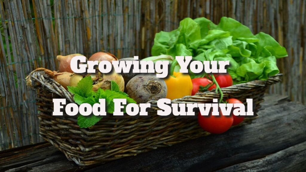 growing your food for survival