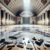 Marble Floor Polishing Prices in the UK: A Comprehensive Guide