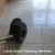 Top Local Grout Cleaners Near Longcross