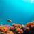 Great Blue Hole Belize: The Ultimate Diving and Snorkeling Guide