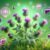 Liver Health: Essential Herbs for Optimal Wellness