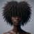 Afro-Textured Hair Products: Your Essential Guide to Care