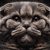 Essential Guide for Scottish Folds: Ear Maintenance Tips