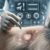 Pet Microchip Implantation: Essential Insights for Owners