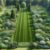 Garden Clearance Cost: Essential Guide for UK Homeowners