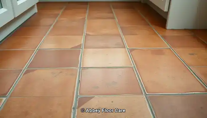 Identifying the Key Factors Behind Quick Dirt Accumulation on Terracotta Floors