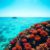 Belize Travel Guide: Key Information for Visitors