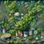 Essential UK Guide to Herbs for Garnishing