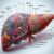 Liver Blood Test Guide for Maidstone Residents
