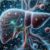 Herbs for Liver Detox: Top UK Picks You Need to Try