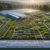 Herbs Sourcing Guide: Selecting Quality Options in the UK